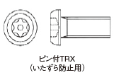 ピン付TRX(いたずら防止用)